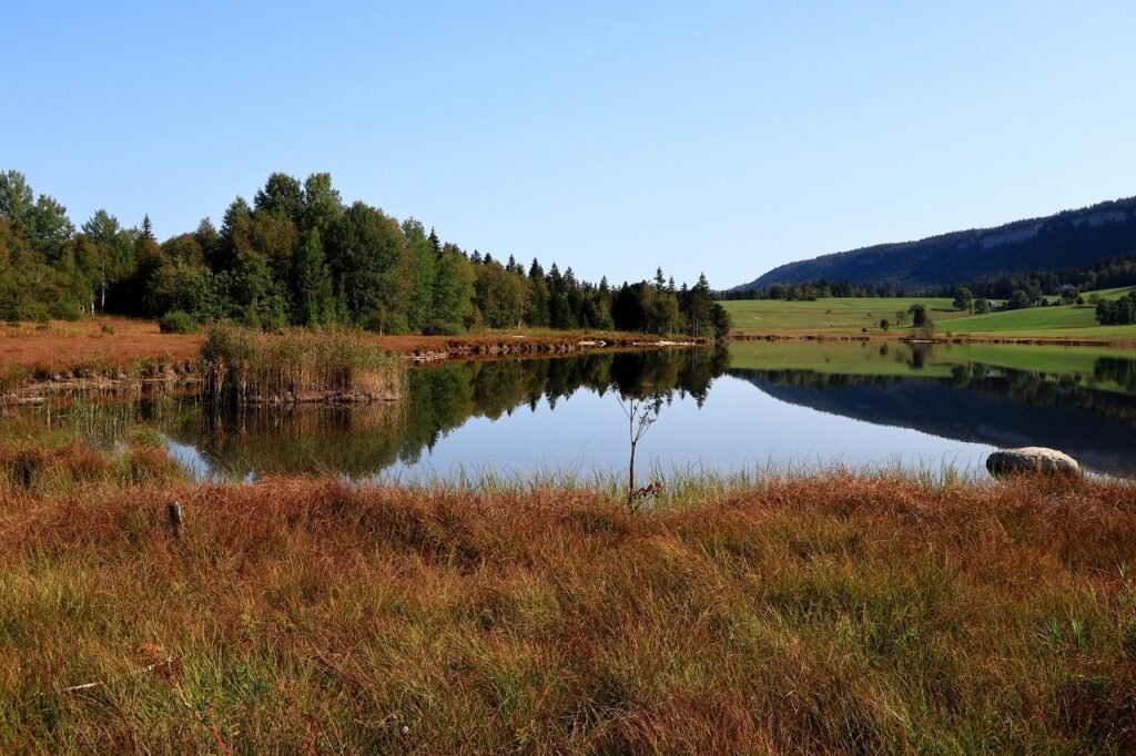 Lac paisible entouré de nature.